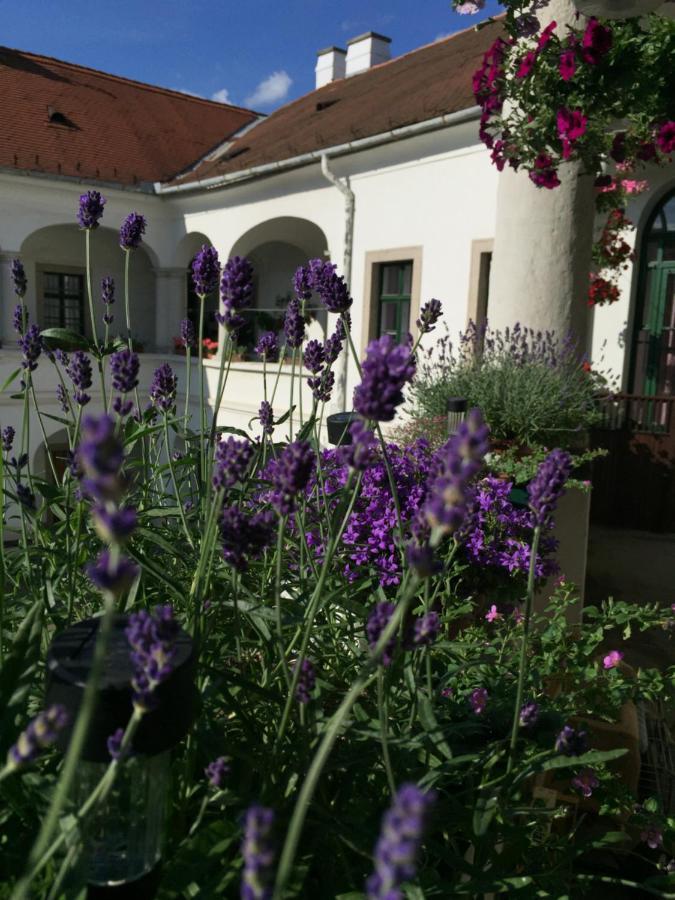 Forst-Haz Apartman Эгер Экстерьер фото